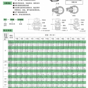 自清洗ZJ扇形喷嘴
